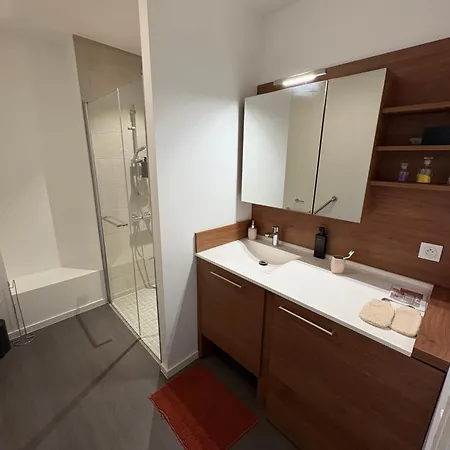 Domitys - La Florentine 公寓式酒店 萨尔格米纳